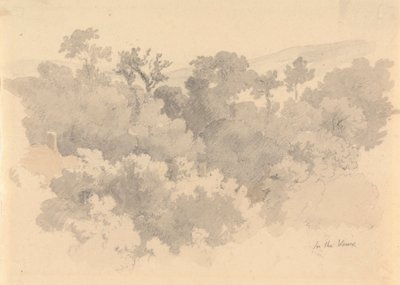 Nella Vaux, Jersey da Robert Hills