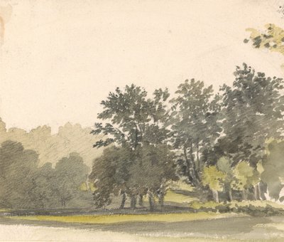 Paesaggio con alberi da Robert Hills