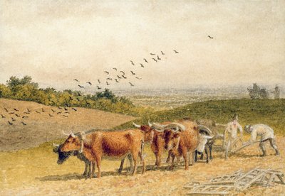Buoi che arano un campo di Downland da Robert Hills