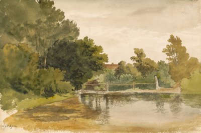 Riflessioni in una pozza boschiva da Robert Hills