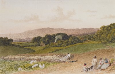 Il Campo di Rape da Robert Hills