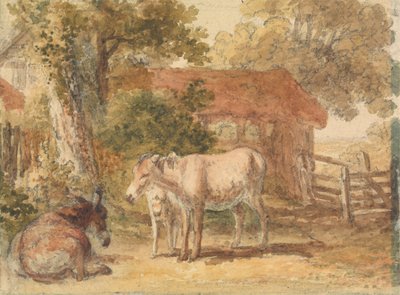 Tre asini da Robert Hills