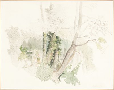 Alberi a Beddington da Robert Hills