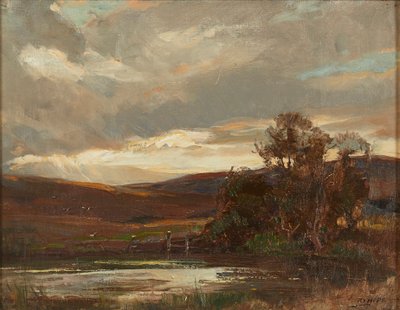 Sera sulla strada di Swire, Ettrick Bridge da Robert Hope