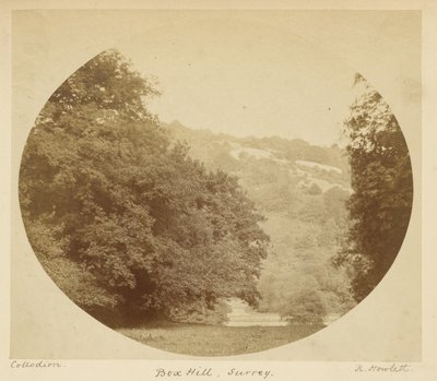 Box Hill, Surrey da Robert Howlett