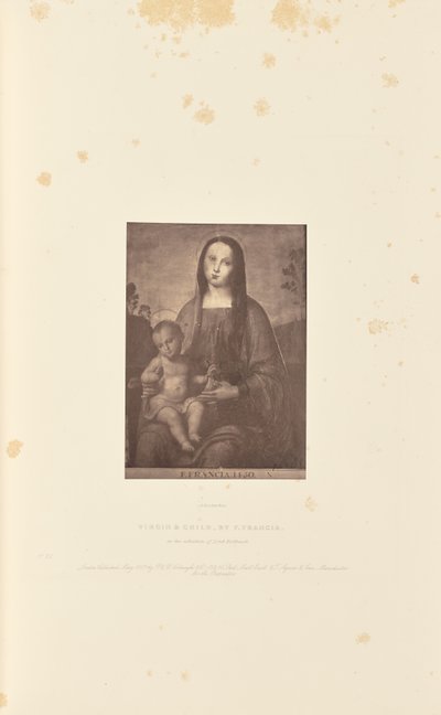 Vergine e Bambino, di F. Francia da Robert Howlett
