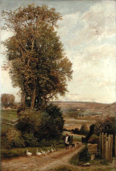 La valle di Rothbury da Robert Jobling