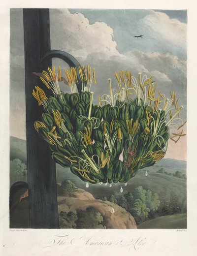 Il Tempio di Flora, o Giardino della Natura: L
