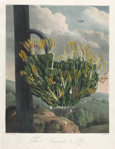 Il Tempio di Flora, o Giardino della Natura: L
