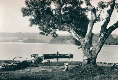 Isola della Chiesa, Lough Gill, Sligo, c1908 da Robert John Welch