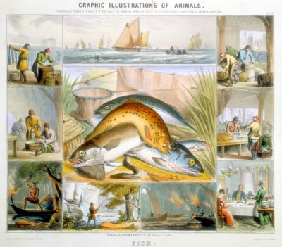 Pesce, c1850 da Robert Kent Thomas