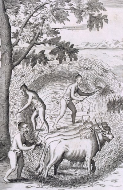 Il modo di pestare il riso, da An Historical Relation of the Island Ceylon, pub. 1681 da Robert Knox