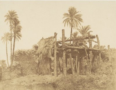 Sakkieh nubiano, o ruota idraulica, ca. 1856 da Robert Murray.