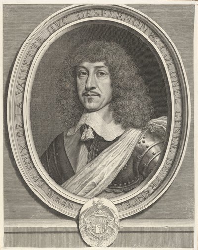 Bernard de Foix de La Valette duca d