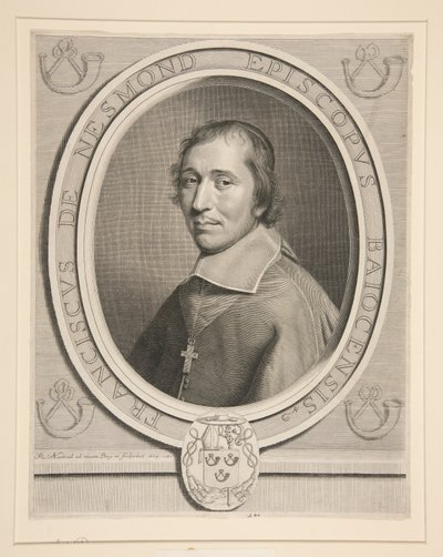 Ritratto di François-Théodore de Nesmond, Presidente a mortier al Parlamento di Parigi da Robert Nanteuil