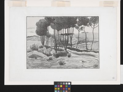 I pioppi da Robert Polhill Bevan