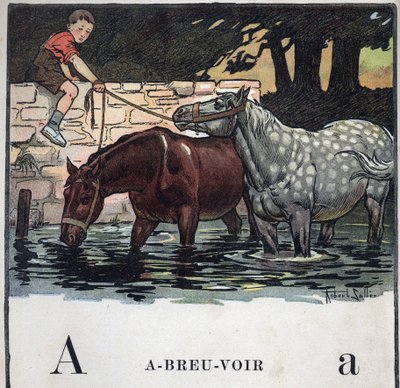 Libro per bambini 