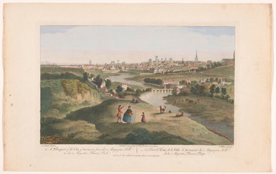 Veduta della città di Dublino vista dal Phoenix Park da Robert Sayer (possibly)