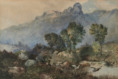 Paesaggio con anatre germane da Robert Scott Temple