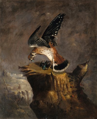 Avvoltoio e la sua preda, 1844 da Robert Seldon Duncanson