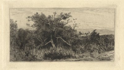 Albero nodoso da Robert Swain Gifford