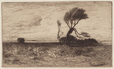 Vicino alla costa [piccola lastra] da Robert Swain Gifford