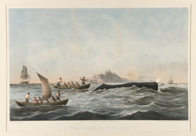 Caccia alla Balena, No. 1 Il Caso da Robert Swain Gifford
