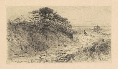 Il sentiero verso la riva da Robert Swain Gifford