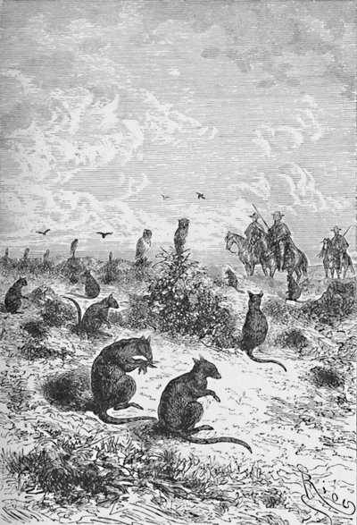 Bizcachas, c1885, 1890 da Robert Taylor Pritchett
