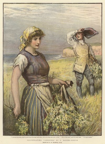 Illustrazione di 