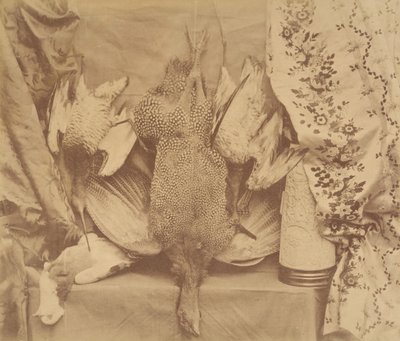 Natura morta e ricamo, 1856 da Robert Wilfred Skeffington Lutwidge