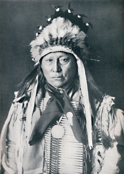 Un capo Sioux nel suo trucco di guerra, 1912 da Robert Wilson Shufeldt