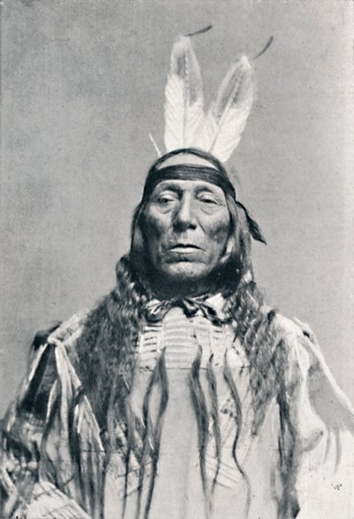Vista frontale di un indiano Sioux, 1912 da Robert Wilson Shufeldt