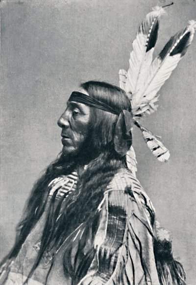 Vista di profilo di un Sioux, 1912 da Robert Wilson Shufeldt