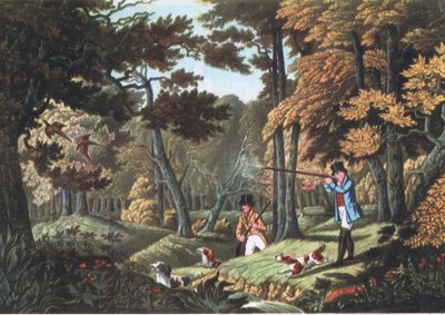 Caccia al fagiano vicino a Uxbridge, Natura in Gran Bretagna pubblicata da Collins, 1946 da Robert the Elder Havell