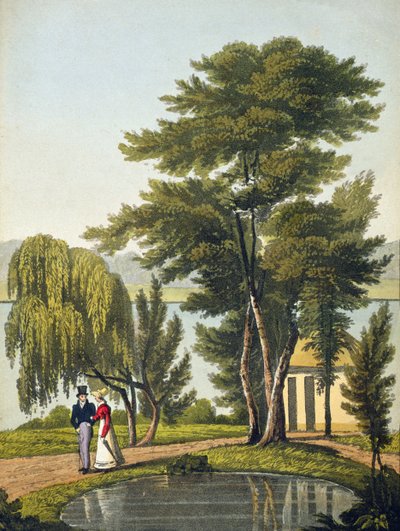 Clifton, da 