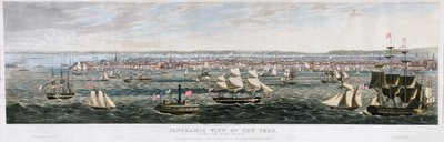 Vista panoramica di New York, dall