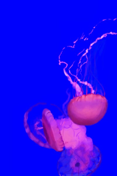 Medusa, 2022 da Roberta Murray