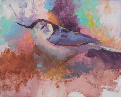 Sitta carolinensis (2023) da Roberta Murray