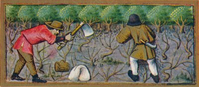 Marzo - lavoro nella vigna, XV secolo, 1939 da Robinet Testard