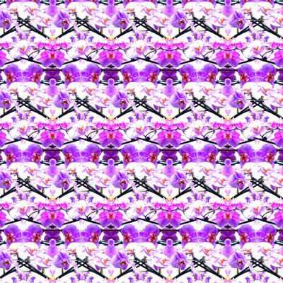 Ripetizione di orchidea viola da Robyn Parker