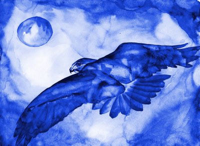 Il volo della Luna del Falco Blu da RodMacIver