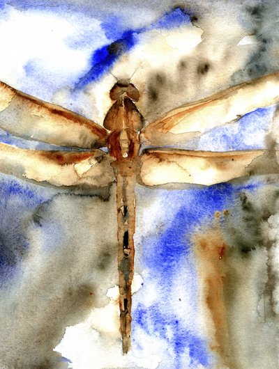 Libellula blu ad acquerello da RodMacIver