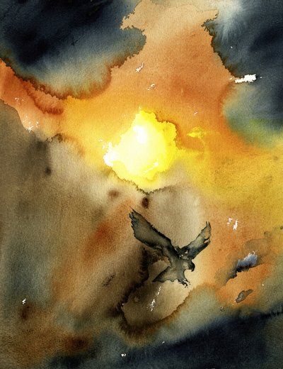 Aquila in volo al tramonto da RodMacIver