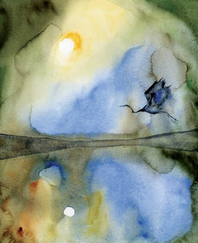 Riflesso di un uccello etereo da RodMacIver