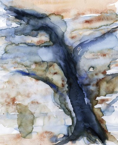 Flusso della Terra fluida da RodMacIver