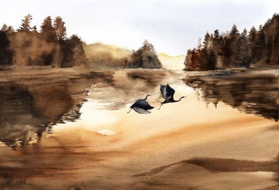  da RodMacIver