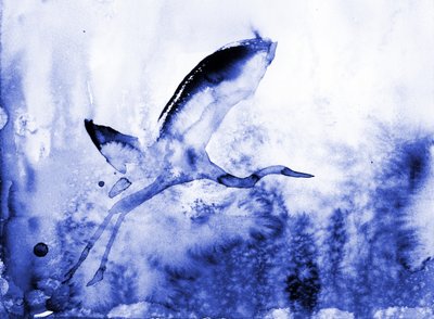 Grazioso airone blu da RodMacIver