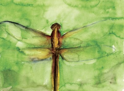 Libellula verde ad acquerello da RodMacIver