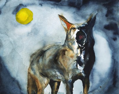 La luna del coyote ululante da RodMacIver